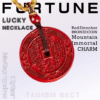 [Cinnabar Coin Pendant] Mountain Immortal necklace; Bronze coin lucky pendant; I Ching 8 Diagrams Evil-Repelling and Prosperity-Attracting Birthday Gift