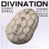 [Kismet Shell] Taoist Talisman; I Ching Divination tool;  White Tortoise Oracle Shell