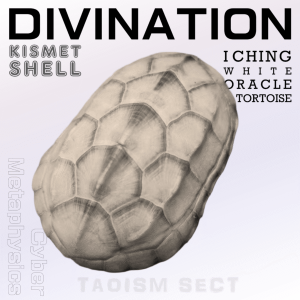 [Kismet Shell] Taoist Talisman; I Ching Divination tool;  White Tortoise Oracle Shell